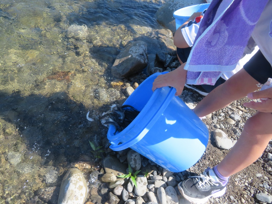 107010 奈半利川 年間遊漁券(対象年齢：70歳以上） 利き鮎グランプリ受賞 釣り 友釣り 鮎 あゆ 鰻 ウナギ アマゴ 川釣り 奈半利川 アウトドア チケット 体験 釣り体験 清流めぐり利き鮎会SPグランプリ受賞 /高知県 奈半利町