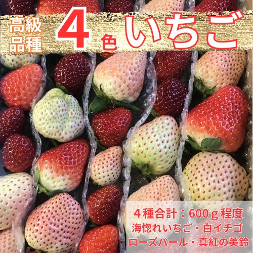 110001縲鬮倡エ壼刀遞ョシ碑牡縺縺。縺韮OX