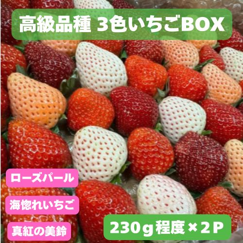 110003　高級品種3色いちごBOX