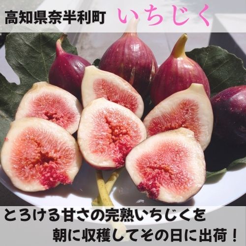 116022縲縺縺。縺倥¥