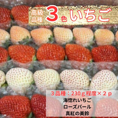 110003　高級品種3色いちごBOX