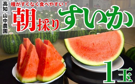 103001 山中農園のスイカ １玉 種が少ない 選べる １玉 ２玉 フルーツ 産地直送 完熟 糖度 リピーター率高い 甘い 大玉 西瓜 すいか/高知県 奈半利町
