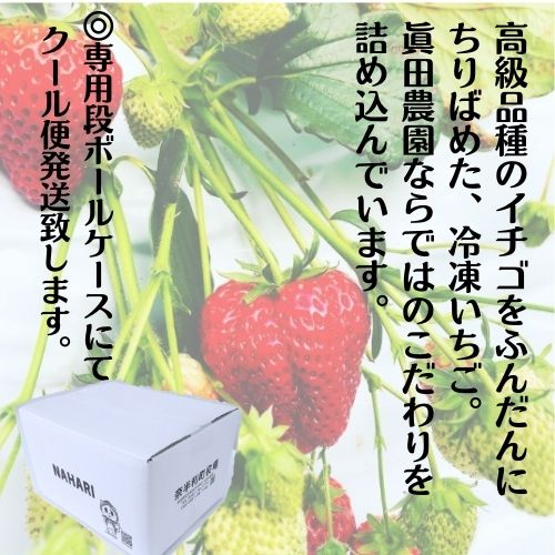 110007　冷凍いちご4種　500ｇ×5袋