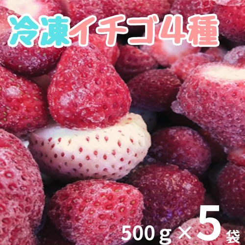 110007　冷凍いちご4種　500ｇ×5袋