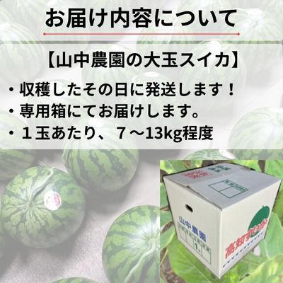 103001 山中農園のスイカ １玉【先行受付】 種が少ない 選べる １玉 ２玉 フルーツ 産地直送 完熟 糖度 リピーター率高い 甘い 大玉 西瓜 すいか/高知県 奈半利町