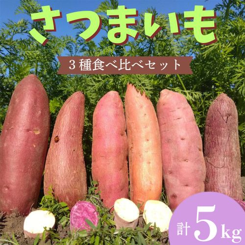 106005 さつまいも食べ比べセット5kg さつまいも サツマイモ 冬限定 焼き芋 スイートポテト 安納芋 土佐紅 シルク スイート 紅はるか ふくむらさき 季節限定 産地直送/高知県 奈半利町