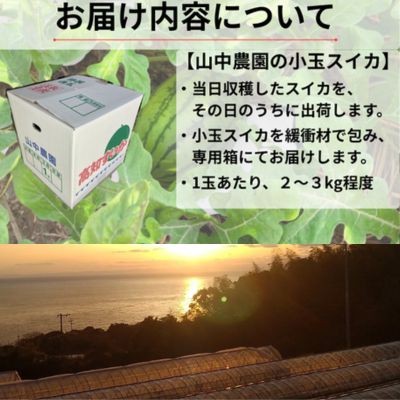 103005 螻ア荳ュ霎イ蝨偵ョ蟆冗脂繧ケ繧、繧ォシ鍋脂 蟋ォ縺セ縺上i縲5譛井ク区流ス6譛井ク頑流縲鷹∈縺ケ繧 1邇 2邇 3邇 繝輔Ν繝シ繝 蟄」遽髯仙ョ 譏・ 逕」蝨ー逶エ騾 螳檎 逕倥> 縺薙□縺セ 隘ソ逑 縺吶>縺 螻ア荳ュ霎イ蝨/鬮倡衍逵 螂亥濠蛻ゥ逕コ