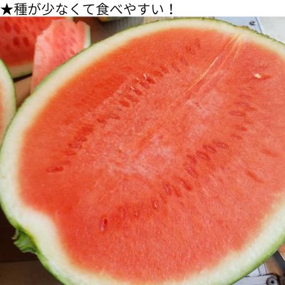 103001 山中農園のスイカ １玉【先行受付】 種が少ない 選べる １玉 ２玉 フルーツ 産地直送 完熟 糖度 リピーター率高い 甘い 大玉 西瓜 すいか/高知県 奈半利町