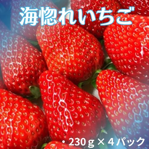 110005縲豬キ諠壹l縺縺。縺斐4繝代ャ繧ッ