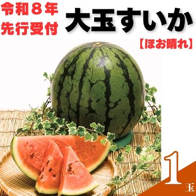 103001 山中農園のスイカ １玉【先行受付】 種が少ない 選べる １玉 ２玉 フルーツ 産地直送 完熟 糖度 リピーター率高い 甘い 大玉 西瓜 すいか/高知県 奈半利町