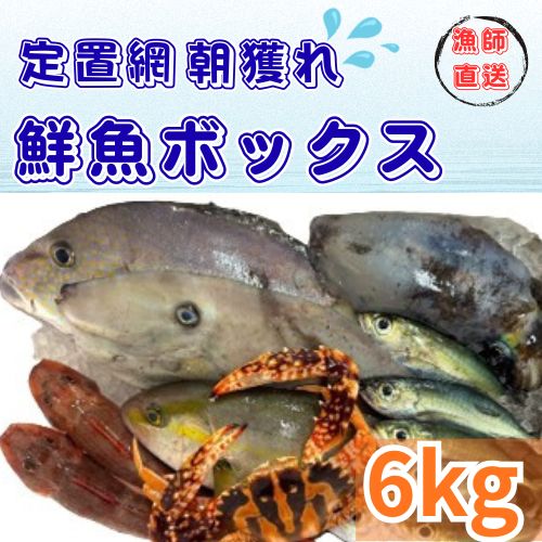 定置網朝どれ鮮魚ボックス6kg