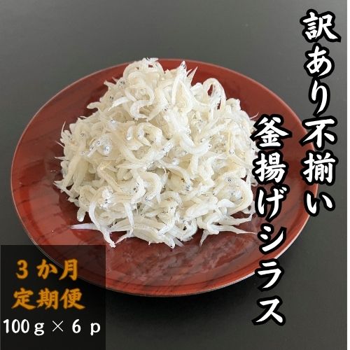 訳あり不揃い釜揚げシラス100gパック×6p　3か月連続発送