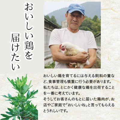 118003 米ヶ岡鶏 手羽元100本 国産 ブランド鶏 鶏肉 鳥肉 手羽元 小分け 10本×10ｐ 冷凍 唐揚げ からあげ 煮込み グリル 低カロリー 高タンパク質 /高知県 奈半利町