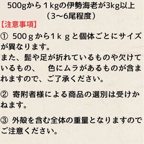 豢サ縲莨雁兇豬キ閠シ3kgシ芽ィウ縺ゅj蜩√r蜷ォ繧