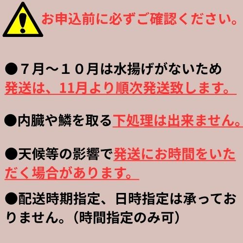 定置網朝どれ鮮魚ボックス2kg