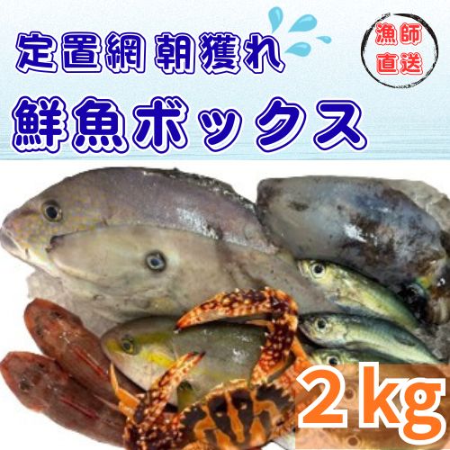 定置網朝どれ鮮魚ボックス2kg