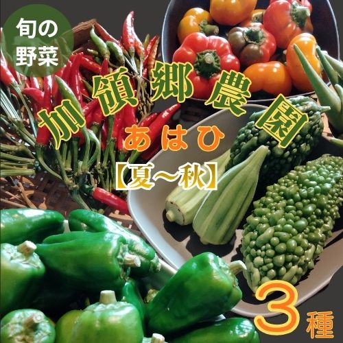 130002縲鬮倡衍縺ョ閾ェ辟カ縺ョ諱オ縺ソ縺溘▲縺キ繧翫%縺繧上j驥手除繝懊ャ繧ッ繧ケ(螟擾ス樒ァ) 縺企手除 蟄」遽 驥手除 譌ャ 譁ー魄ョ 逕」蝨ー逶エ騾 髴イ蝨ー 隧ー繧∝粋繧上○ 繧縺輔> 縺翫>縺励> 閾ェ辟カ 繧サ繝繝 譌ャ縺ョ驥手除