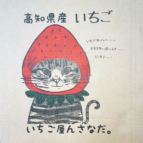 110003縲鬮倡エ壼刀遞ョ3濶イ縺縺。縺韮OX