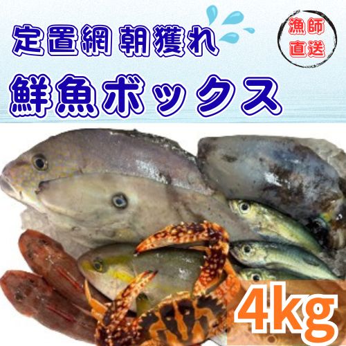 定置網朝どれ鮮魚ボックス4kg