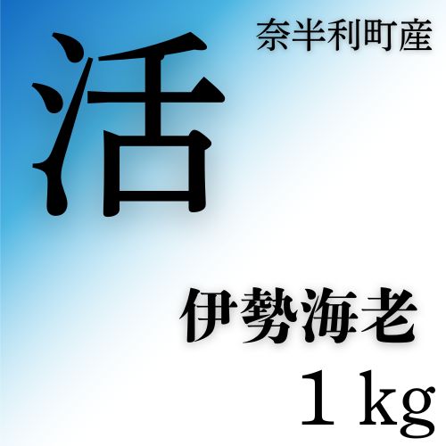 活　伊勢海老（1kg）