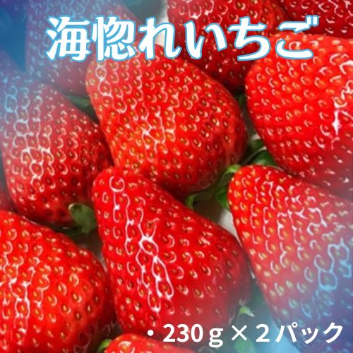 110004　海惚れいちご　2パック