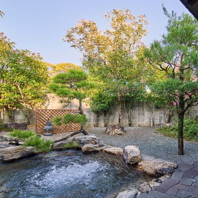 104004 ããã«ãªã¯ã ã宿æ³åž é²å€©é¢šå æªé¢šå äžæ³çŽ æ³ãŸã 芳å
çŽ æ³ãŸã ããžãã¹ ãéè·¯ãã 鮪 ãã°ã ãŸãã ã·ã³ã°ã«ã«ãŒã / é«ç¥ç å¥åå©çº