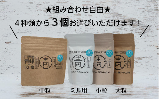 【四国一小さなまちのお塩】 塩職人 田野屋青蜂 完全天日塩 ★ ４種類から選べる ★ ３個セット 