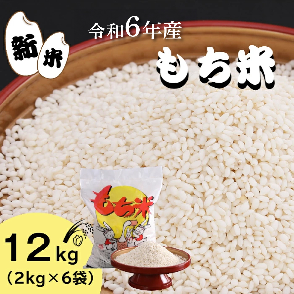 【四国一小さなまち】★精米 新米 もち米 12kg★≪令和6年11月中旬から順次発送開始≫令和6年産 もち米 12kg（2kg×6袋）　米 お米 精米 こめ コメ モチ もち もち米 赤飯 餅 餅米 新米 おはぎ おもち おこわ 限定 グルメ お取り寄せ 高知県 田野町 国産 故郷納税