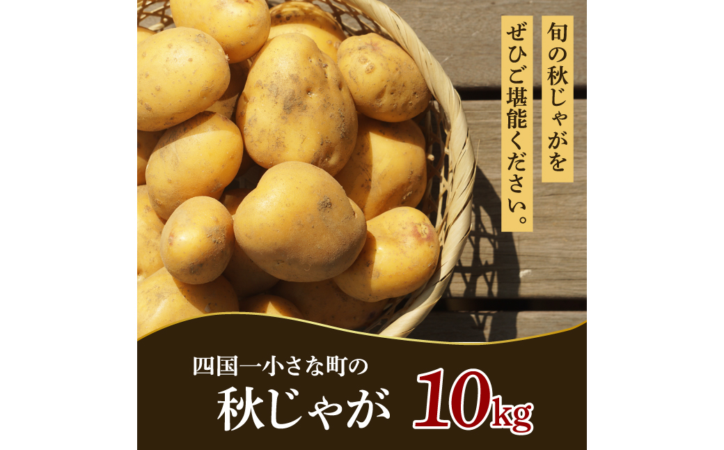 【四国一小さなまちのじゃがいも】★令和５年１２月中旬発送開始★ 大野台地で採れた『 令和５年産 秋じゃが 』 １０ｋｇ