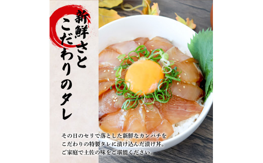 これが魚屋の漬け丼だ！～カンパチ～ 《訳あり》 ８０ｇ×５P カンパチ かんぱち 漬け丼 漬け どんぶり 丼 5パック 海鮮 魚 真空パック 個食 個包装 冷凍 配送 訳あり 規格外 不揃い