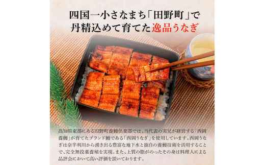 田野町産うなぎの蒲焼き(小) 1尾×3回 定期便 3ヶ月 定期コース 1尾あたり90～120g タレ付き 山椒付き うなぎ 鰻 ウナギ 蒲焼き かば焼き 無頭 おいしい 国産 お取り寄せ 冷凍 配送