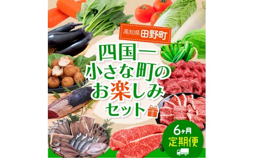 【四国一小さなまち】≪2024年1月発送開始≫★定期便 6ヶ月（1月～6月）★～田野町お楽しみセット6回コース『B』～