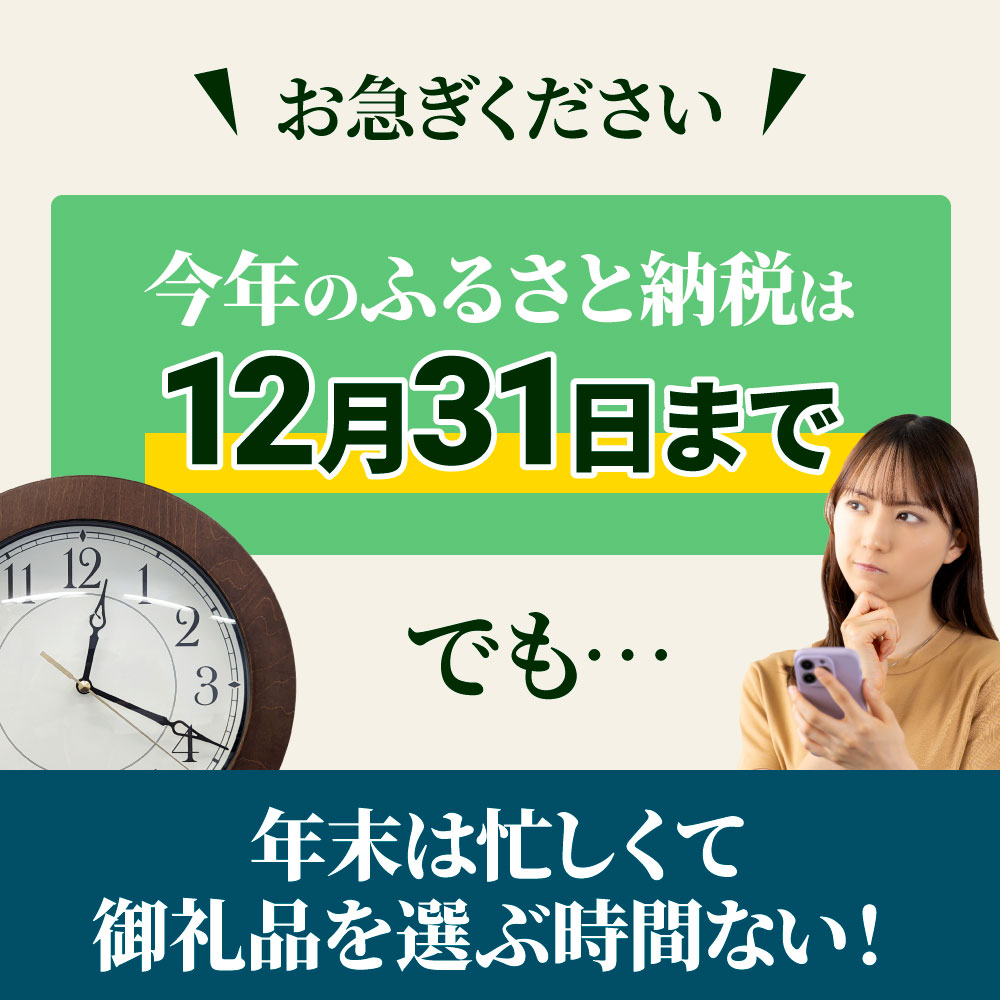 【年末限定】返礼品は後からゆっくり選べる寄附コース★C★ ～2024年度版～ あとから選べる おすすめ 人気 カツオ カツオのたたき うなぎ 鰻 肉 酒 塩 魚 魚介 カタログ 300000円