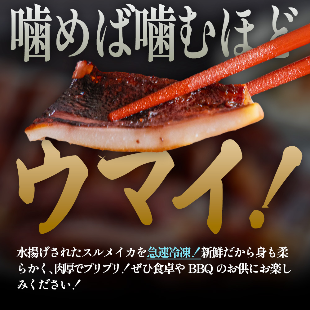 ★訳あり★スルメイカの一日干し 約1kg 5枚程度 冷凍 一日干し 干物 加工食品 肉厚 海鮮 うまみ おつまみ 酒のお供 冷凍 1枚約200g 産地直送 冷凍配送 焼くだけ 簡単 国産 お取り寄せグルメ 高知県産 土佐 高知 返礼品 故郷納税 ふるさとのうぜい 田野町