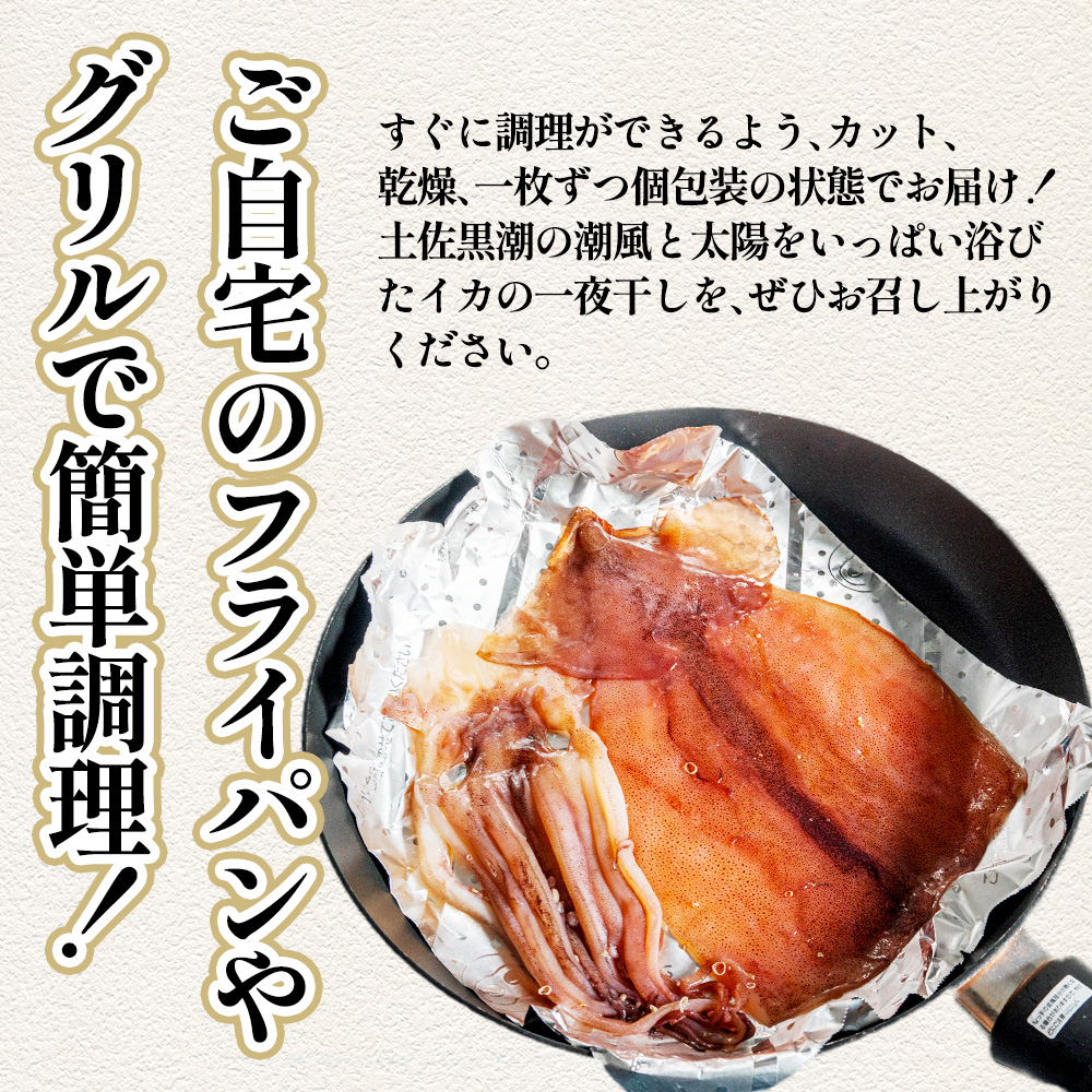 ★訳あり★スルメイカの一日干し 約1kg 5枚程度 冷凍 一日干し 干物 加工食品 肉厚 海鮮 うまみ おつまみ 酒のお供 冷凍 1枚約200g 産地直送 冷凍配送 焼くだけ 簡単 国産 お取り寄せグルメ 高知県産 土佐 高知 返礼品 故郷納税 ふるさとのうぜい 田野町