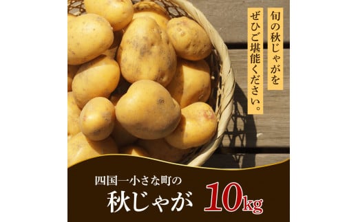 【四国一小さなまちのじゃがいも】★令和6年11月中旬発送開始★ 大野台地で採れた『 令和6年産 秋じゃが 』 10kg