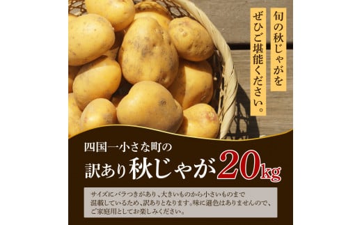 【四国一小さなまちのじゃがいも】★令和6年11月中旬発送開始★ 大野台地で採れた『 令和6年産 秋じゃが 』 20kg　～ 訳あり ～