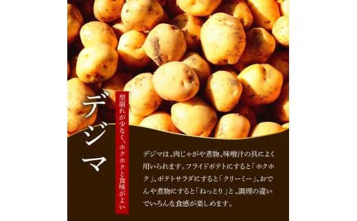 【四国一小さなまちのじゃがいも】★令和6年11月中旬発送開始★ 大野台地で採れた『 令和6年産 秋じゃが 』 5kg