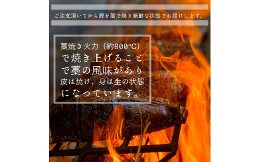 ～四国一小さなまち～ ★先行受付令和6年8月上旬発送開始★ 特選わら焼き戻り鰹のタタキ 約450g×2節 ニンニク1玉・たれ・薬味付き カツオ かつお 鰹のたたき 鰹タタキ 刺身 つまみ お取り寄せ