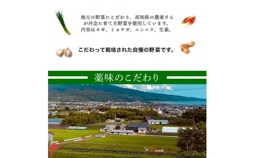 ～四国一小さなまち～ ★先行受付令和6年8月上旬発送開始★ 特選わら焼き戻り鰹のタタキ 約450g×2節 ニンニク1玉・たれ・薬味付き カツオ かつお 鰹のたたき 鰹タタキ 刺身 つまみ お取り寄せ