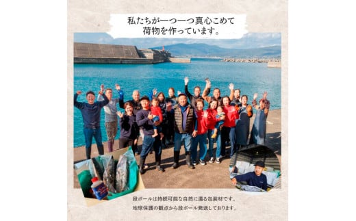 ～四国一小さなまち～ ★訳あり★ 高知県産カツオのわら焼きタタキ（自家製タレ付）1kg 3ヶ月定期便 1節約300g かつお 鰹 鰹のたたき 藁焼き 刺身 さしみ 惣菜 おかず 海鮮 魚介類