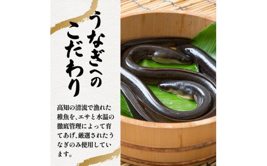 ～四国一小さなまち～ きざみうなぎ蒲焼 80g×6P 約480g カット済み 蒲焼き かば焼き 鰻 ウナギ ふっくら おいしい おかず お茶漬け 惣菜 養殖 国産 簡単 手軽 調理済み