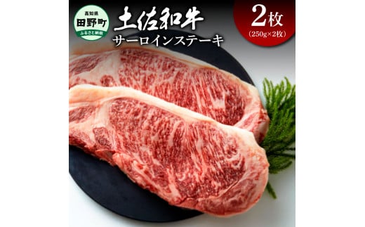 土佐和牛 サーロインステーキ 2枚（250g×2枚）合計500グラム サーロイン ステーキ 肉 お肉 牛肉 焼肉 黒毛和種 サシ きめ細やか やわらかい 赤身 ジューシー 上品 旨味 高知県産
