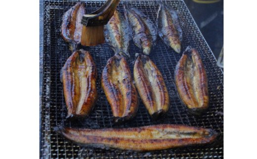 縲仙屁蝗ス荳蟆上&縺ェ縺セ縺。縲鯛岡繝、繝槭す繝ウ竕ォ 窶サ 蜀キ蜃 窶サ 迚ケ驕ク縺縺ェ縺弱ョ闥イ辟シ縺阪シ貞ーセ