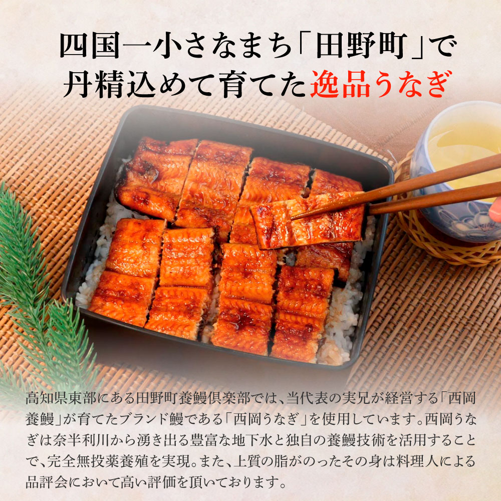 田野町産うなぎの蒲焼き(小) 4尾×3回 定期便 3ヶ月 定期コース 1尾あたり90〜120g タレ付き 山椒付き うなぎ 鰻 ウナギ 蒲焼き かば焼き 無頭 おいしい 国産 お取り寄せ 冷凍 配送