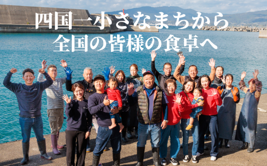 【四国一小さなまち】 ≪カネアリ水産≫ たっぷり！しらすピザ（和風×2・トマト×2）　計４枚