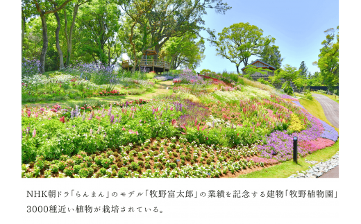 【四国一小さなまち】 ★ 香りの教室 帆南 ★ アロマスプレー 〜 百花らんまん 〜 