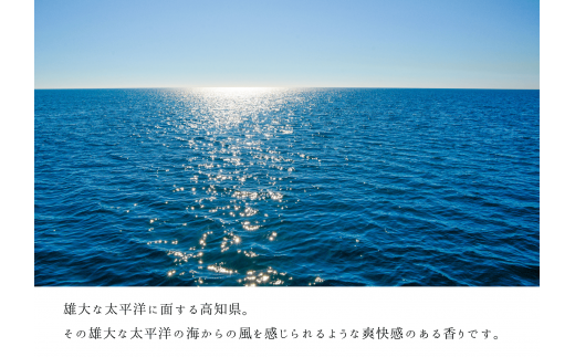 ãååœäžå°ããªãŸã¡ã â
éŠãã®æå®€ åžå â
ã¢ããã¹ãã¬ãŒ ã OCEAN ã