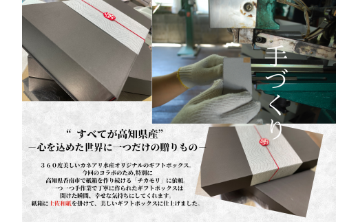 【四国一小さなまち】 ★カネアリ水産★ 幻の塩たたき 〜 わら焼きカツオのたたき２節 × 田野屋塩二郎の塩２袋 〜