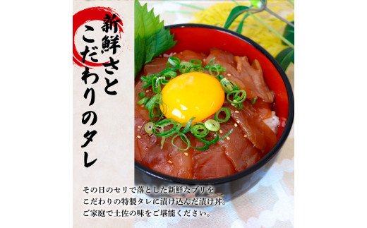 これが魚屋の漬け丼だ！〜ブリ〜 《訳あり》 ８０ｇ×１０P ブリ ぶり 鰤 漬け丼 漬け どんぶり 丼 10パック 海鮮 魚 真空パック 個食 個包装 冷凍 配送 訳あり 規格外 不揃い